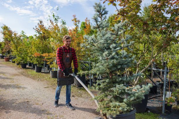 Mulching Services in Jeannette, PA